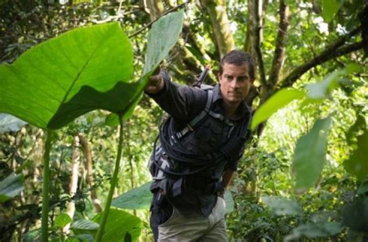 Bear Grylls Bear Grylls