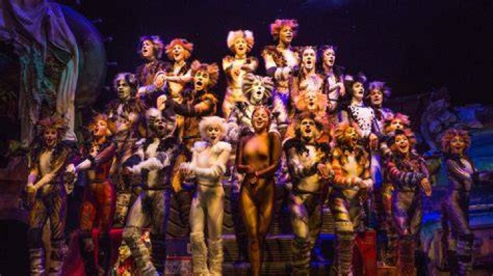 Cats the Musical on Broadway