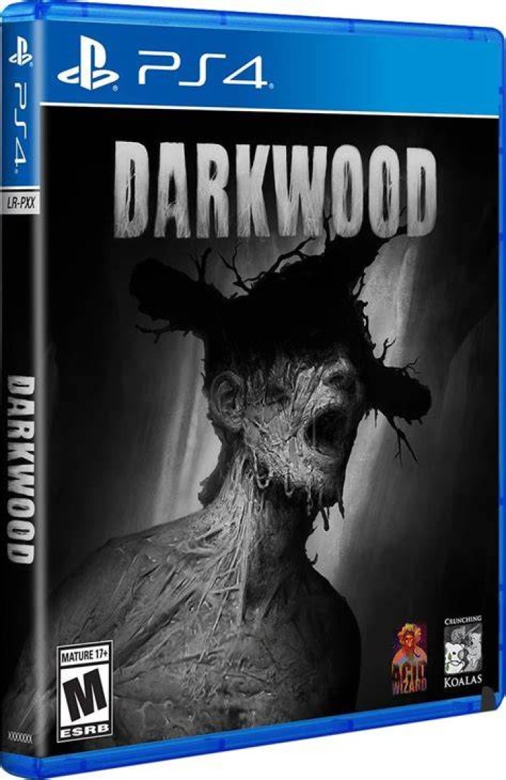 Darkwood PlayStation 4