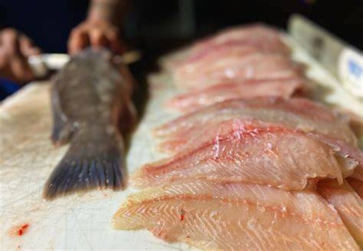 FishFillet