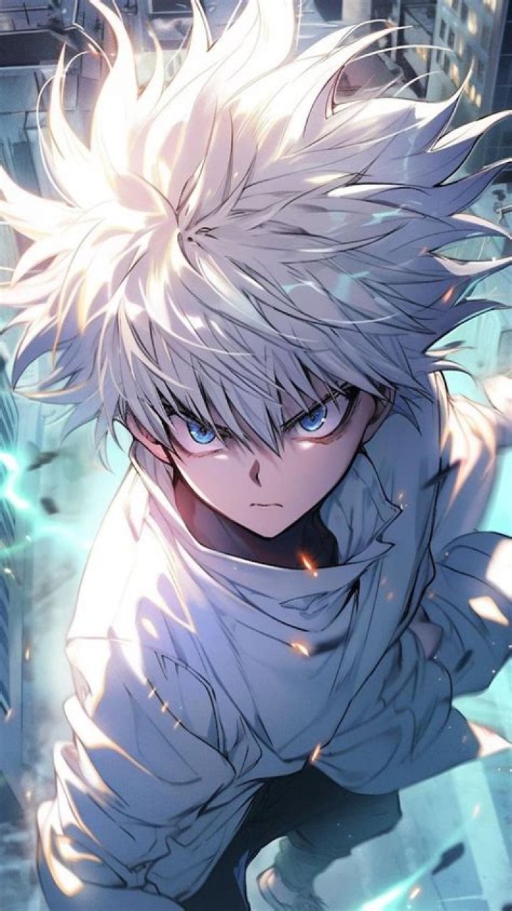 hunter x hunter
