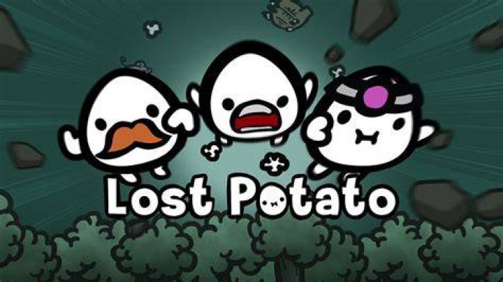 Lost Potato :]