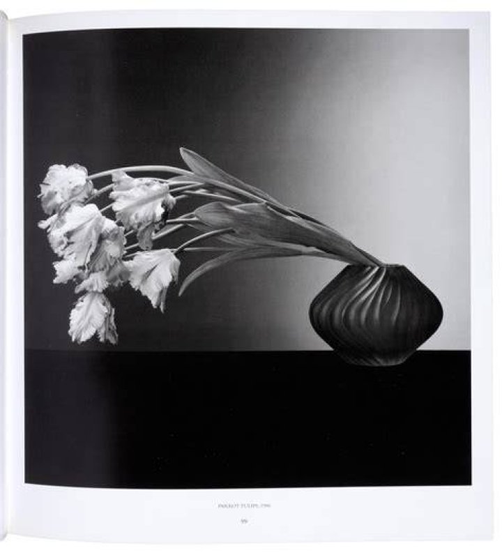 Robert Mapplethorpe Robert Mapplethorpe