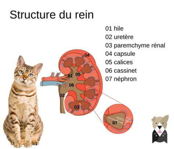 Th&eacute;r&egrave;se Rein