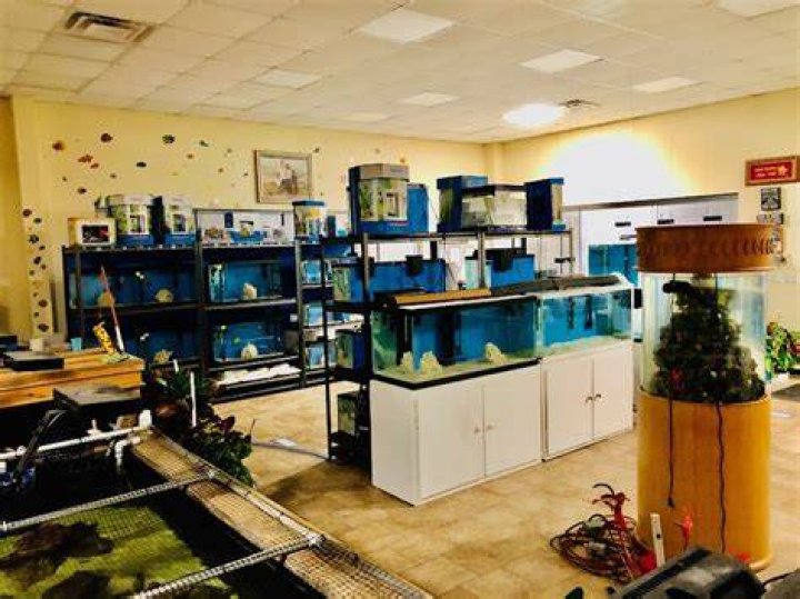 Trung Trinh – Bowling Green, KY